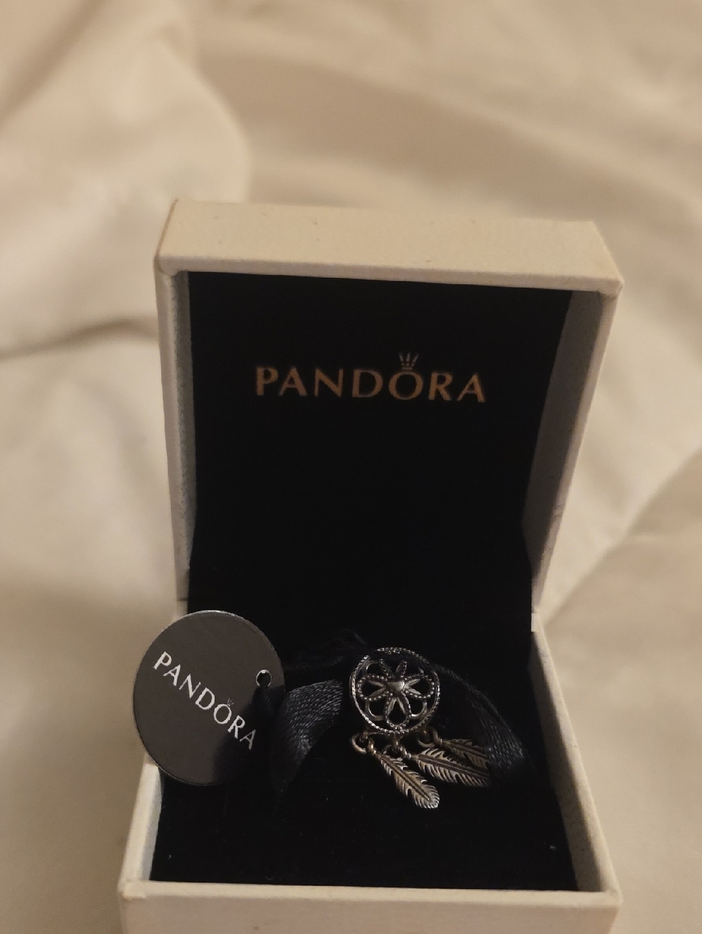 Pandora Silver Dreamcatcher Charm with Feather Accents - Black